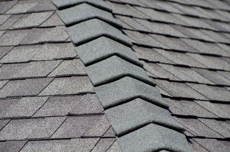 Summer Roofing Service